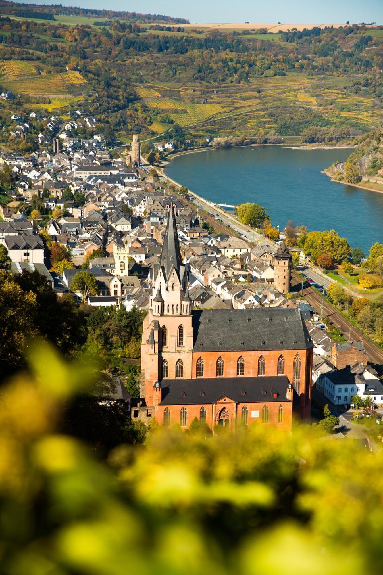 Winzerhof Ross & Rose Hotel Trechtingshausen Kültér fotó