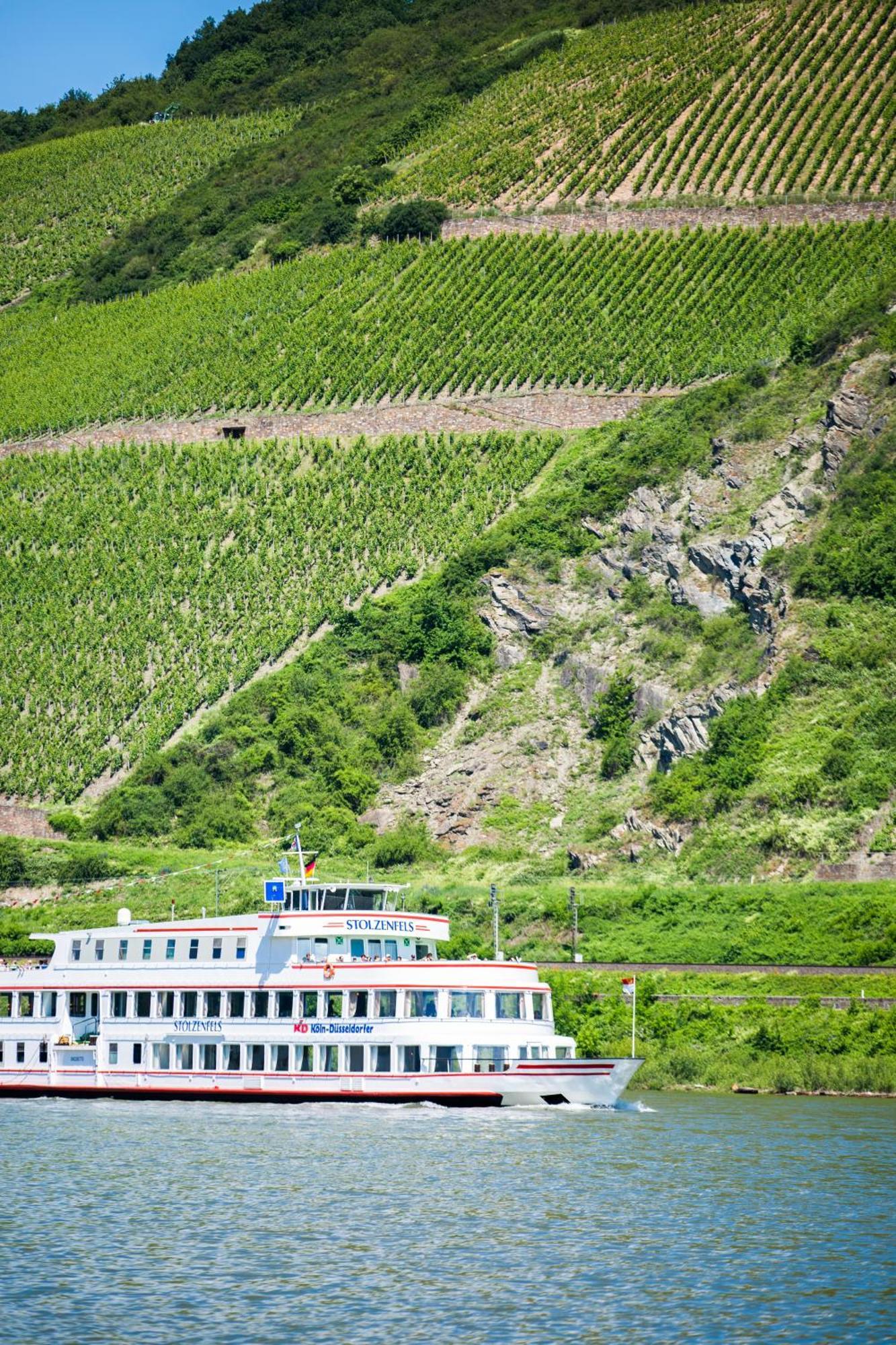 Winzerhof Ross & Rose Hotel Trechtingshausen Kültér fotó